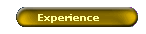 Experience