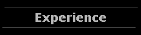 Experience