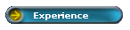 Experience