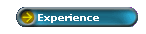 Experience