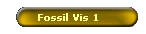 Fossil Vis 1