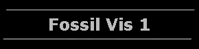 Fossil Vis 1