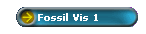 Fossil Vis 1