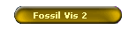 Fossil Vis 2