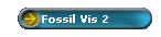 Fossil Vis 2