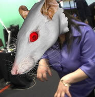 Creature Hat
