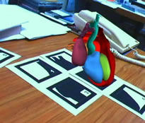 Building the Human Heart