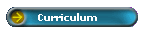 Curriculum